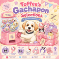 Fun Gachapon Surprises | Toffee's Gachapon Selection