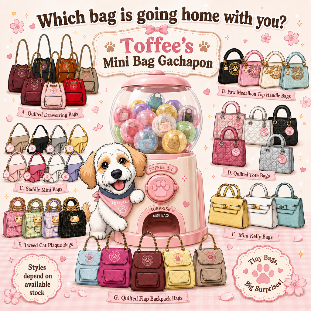Toffee's Mini Bag Gachapon | Kawaii Mystery Mini Bags Australia