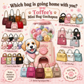 Toffee's Mini Bag Gachapon | Kawaii Mystery Mini Bags Australia