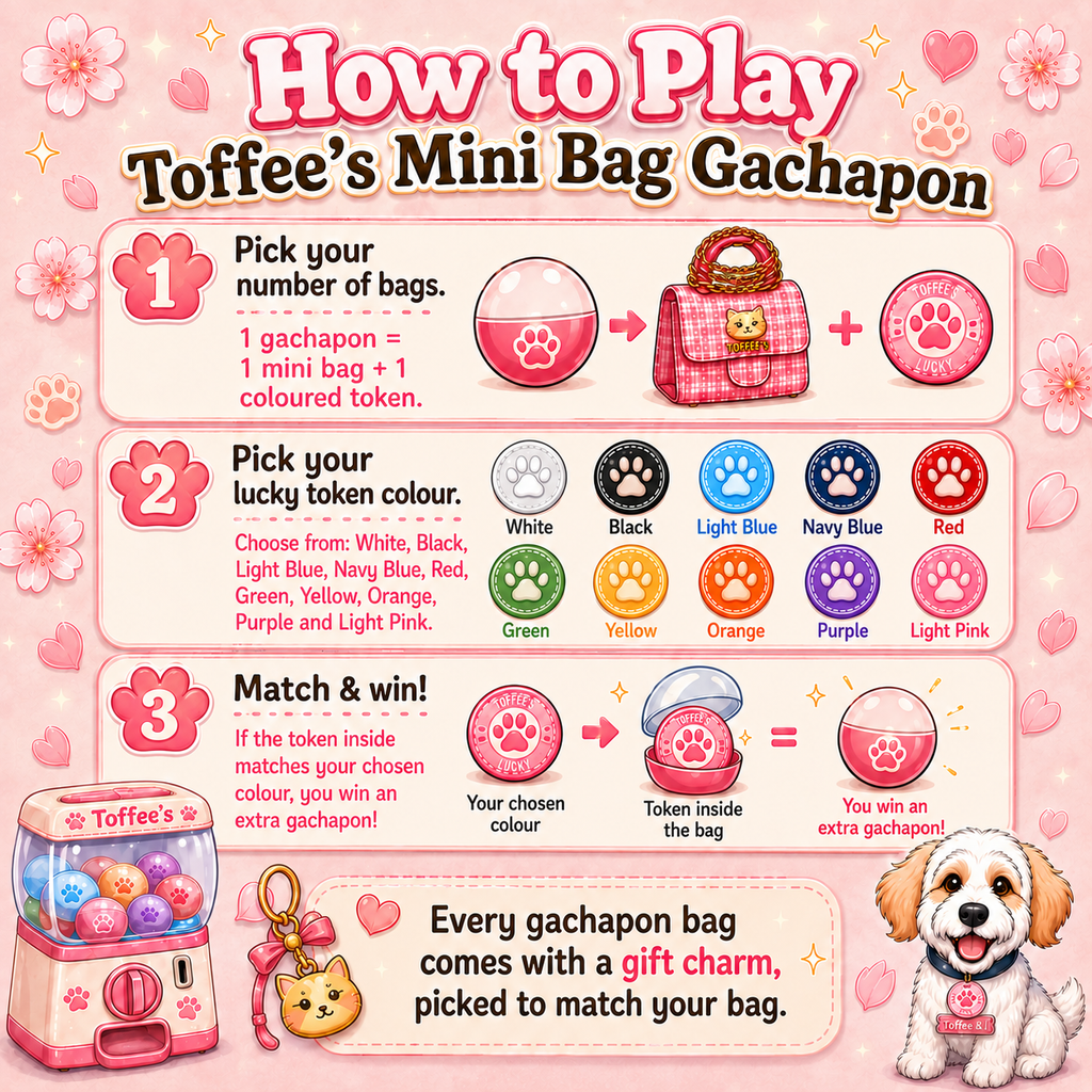 Toffee's Mini Bag Gachapon | Kawaii Mystery Mini Bags Australia