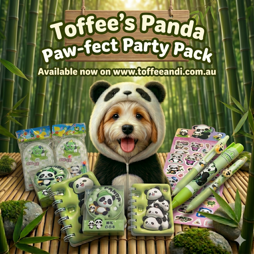 Panda theme stationery bundle shown in spotlight with bamboo forest background; items include mini notebook, eraser, mechanical pencil and a sticker sheet.